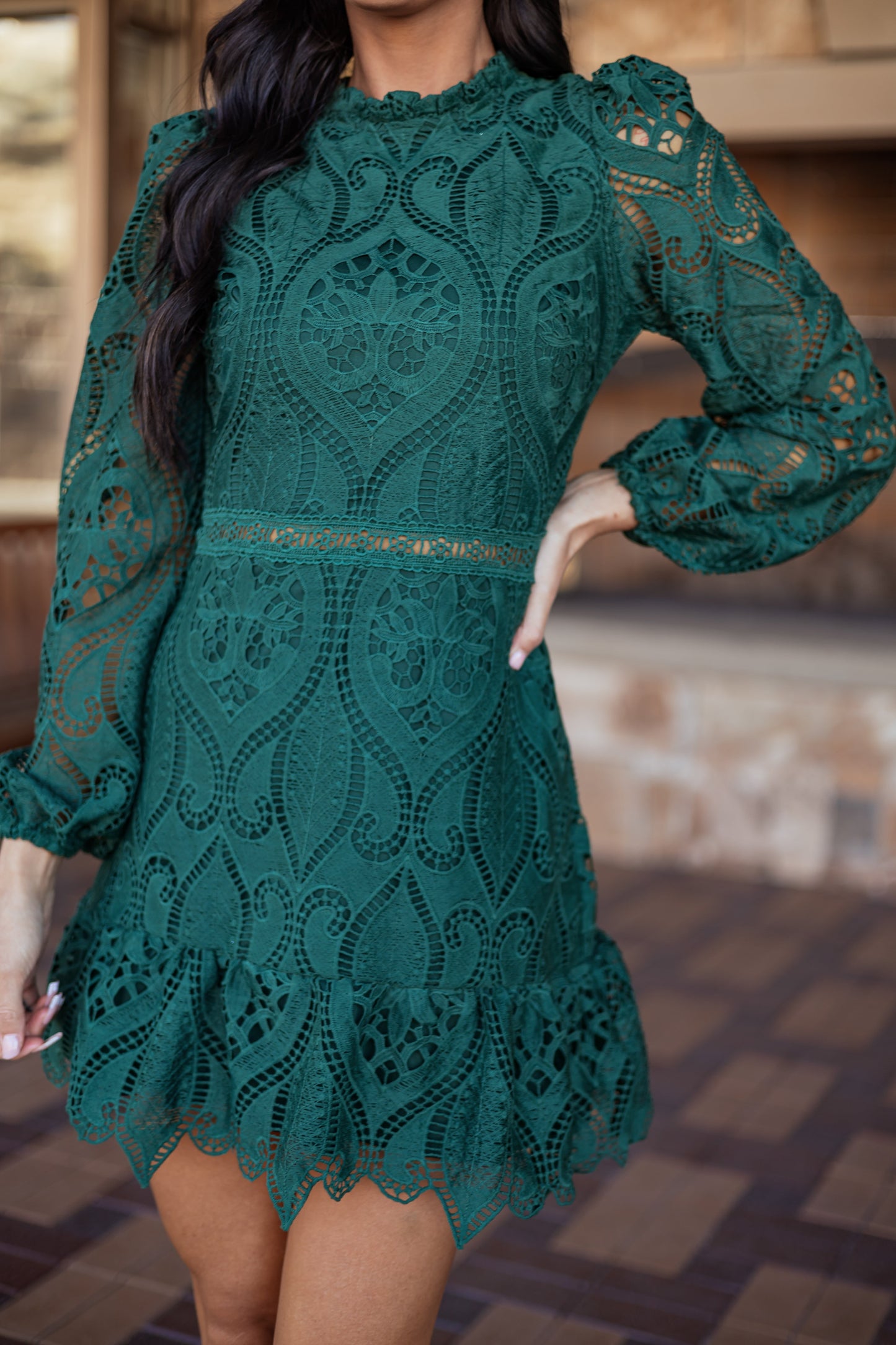 Dark Pine Long Puff Sleeve Lace Mini Dress