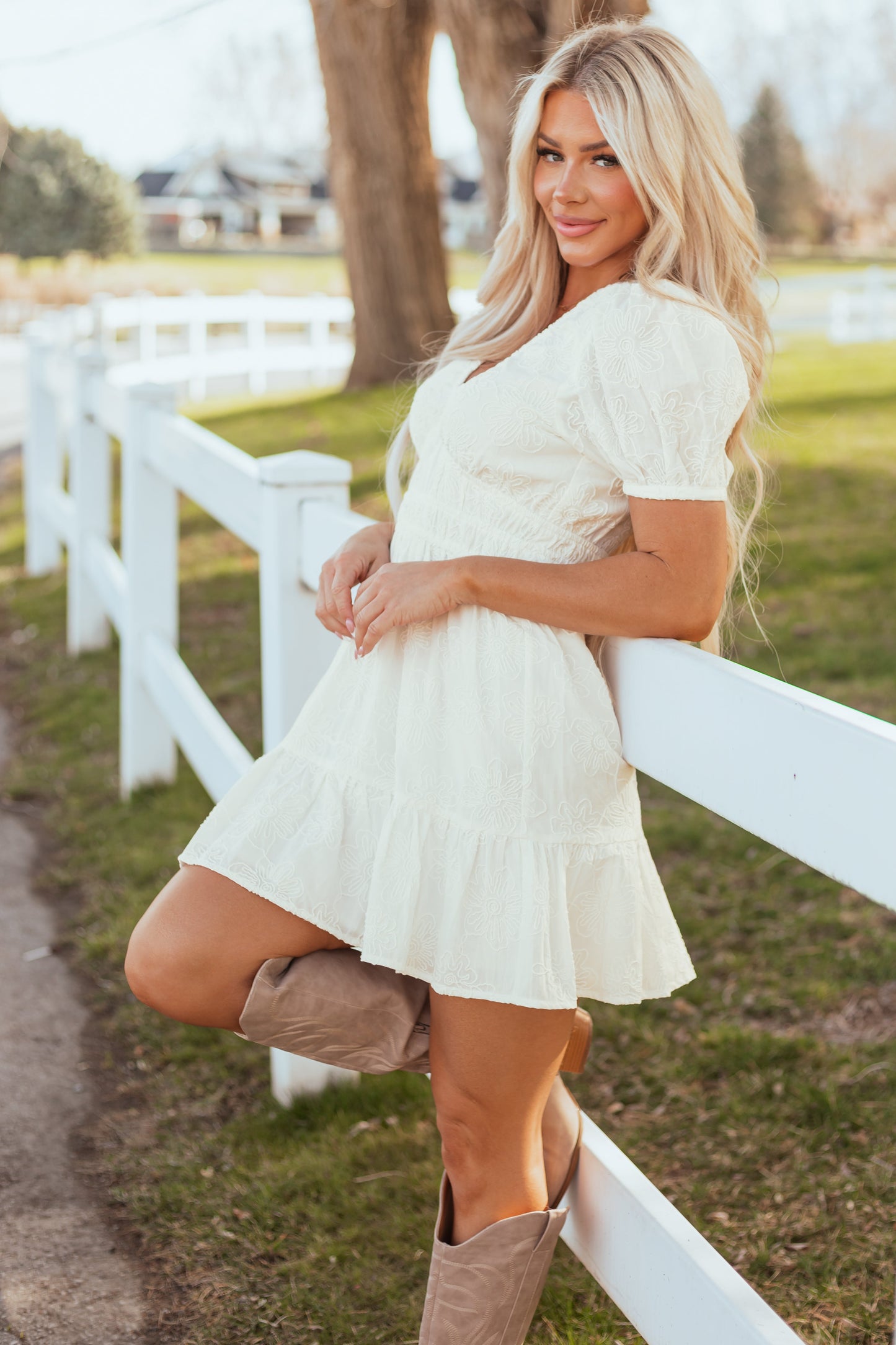 Ivory V Neck Floral Embroidered Mini Dress
