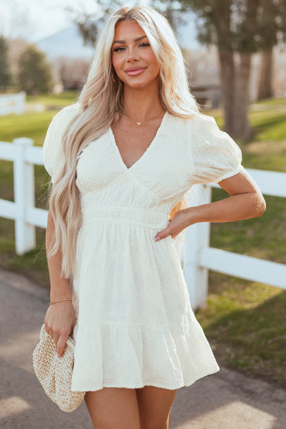 Ivory V Neck Floral Embroidered Mini Dress