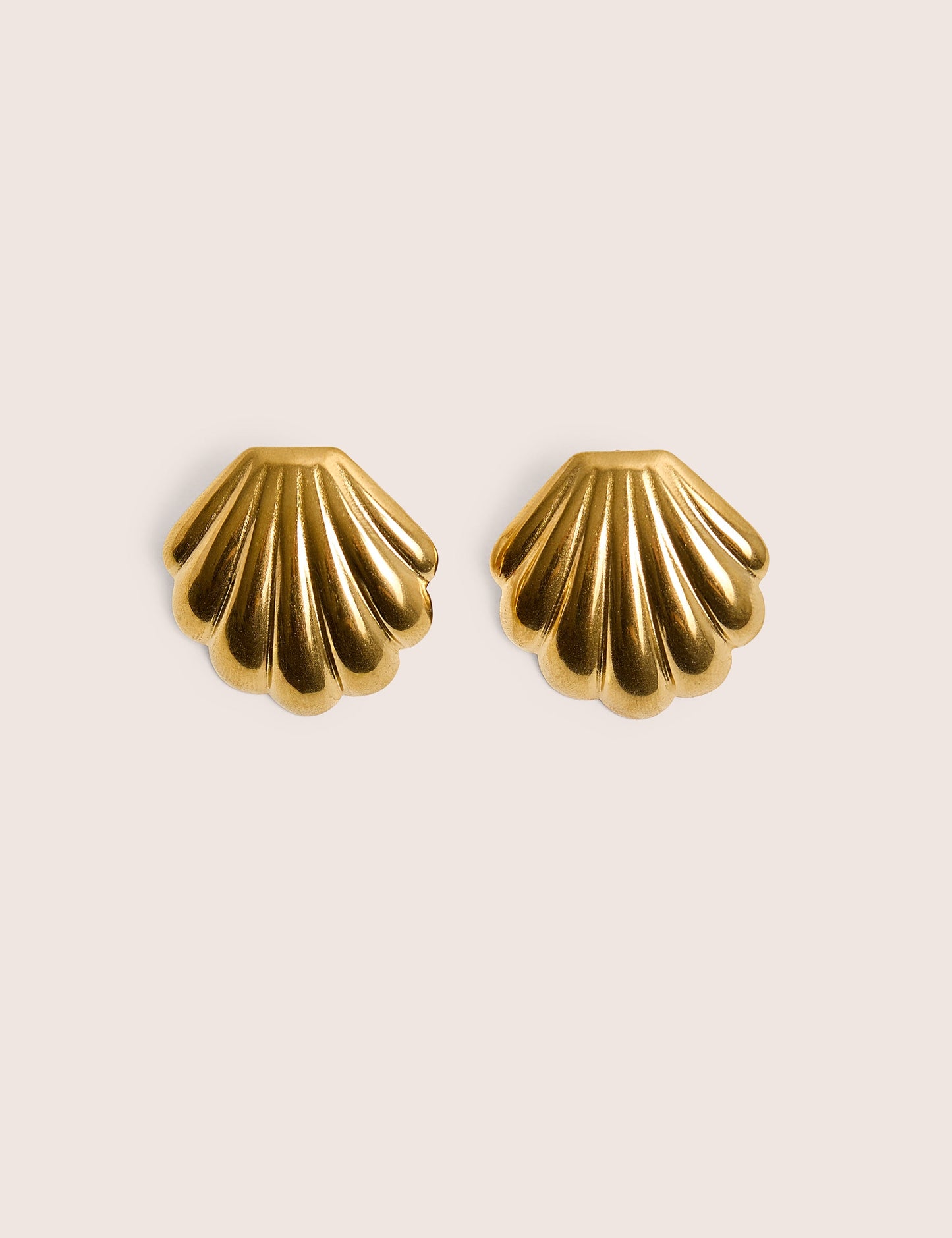Shell Detail Earrings Gold